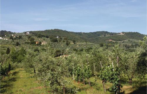 Villa Margherita San Savino