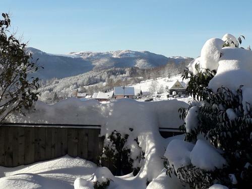 Gite Les Lupins