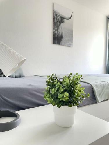 Apartamento Sch�ne Wohnung An Der Hochschule Niederrhein