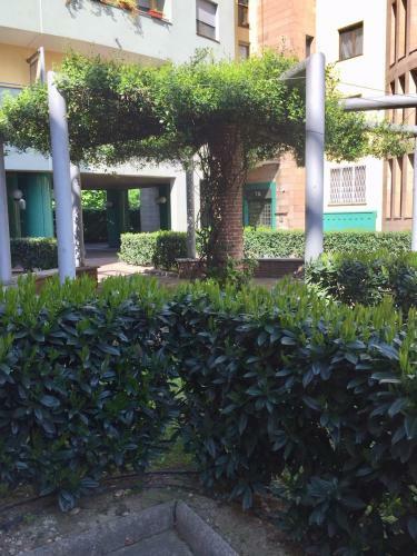 Hostal Bedandbreakfast Eni Torri Lombarde San Donato Bbqueen