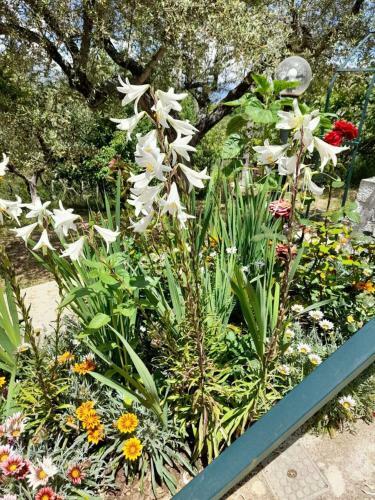 Bed & Breakfast Cuore Verde Del Cilento