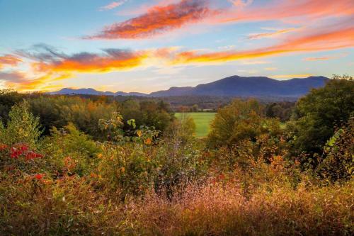 Great North