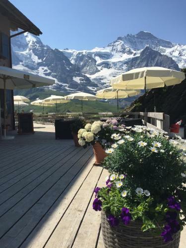 Albergue Berghaus Grindelwaldblick