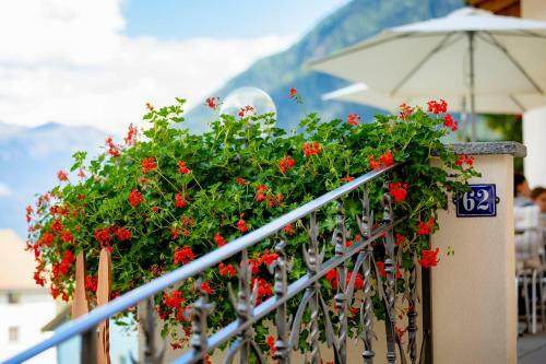 Posada Hotel Helvetia