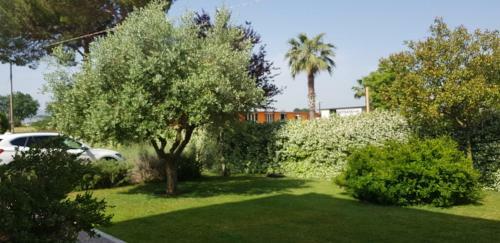 Giga Hotel