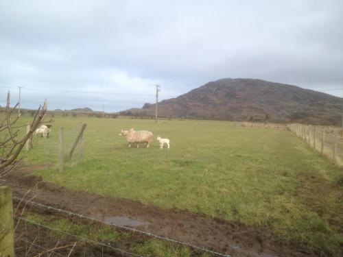 Hazelbrook Bed & Breakfast