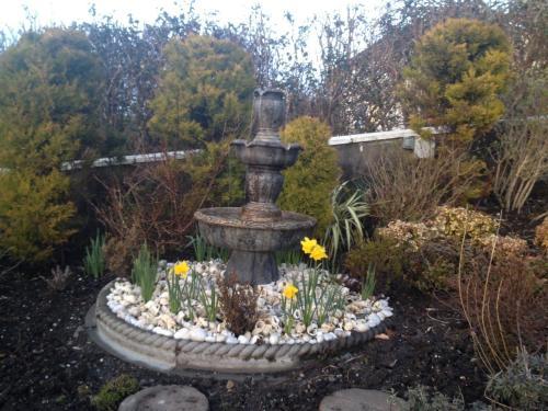 Hazelbrook Bed & Breakfast