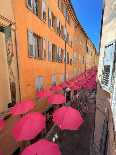 Apartamento Nuit Bleue - Tout Grasse � Pied !