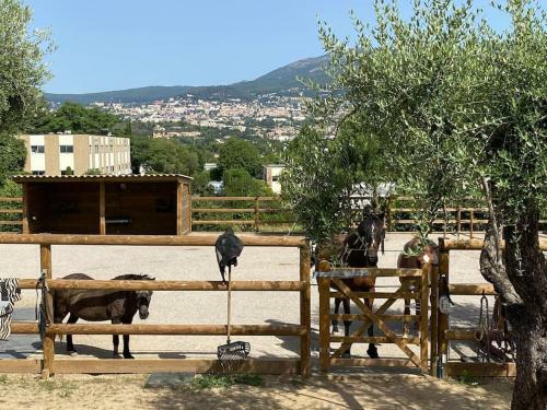 Bastide de Charme Au C?ur D?un Domaine �questre