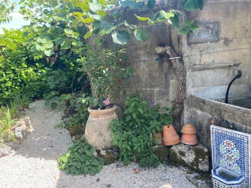Bastide de Charme Au C?ur D?un Domaine �questre
