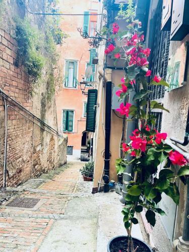 Apartamento Pigna Tommy House