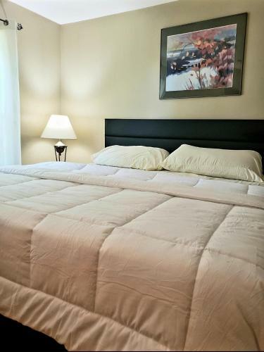 Lovely 3-bedroom Apartment With Free Parking