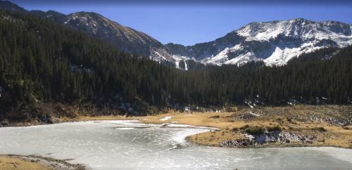 Apartamento Angelfire Cabins- Entire Private Cabin Getaway