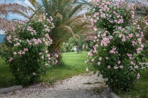 Apartamento Agriturismo Il Casale Di Monica