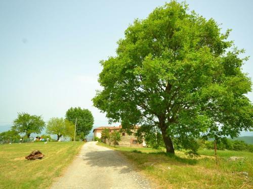 Apartamento Caterina