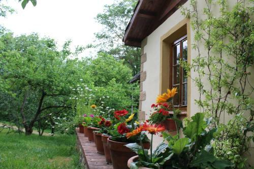 Agroturismo Fattoria Tabarrino