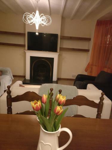 Single Room In Shared House In Town