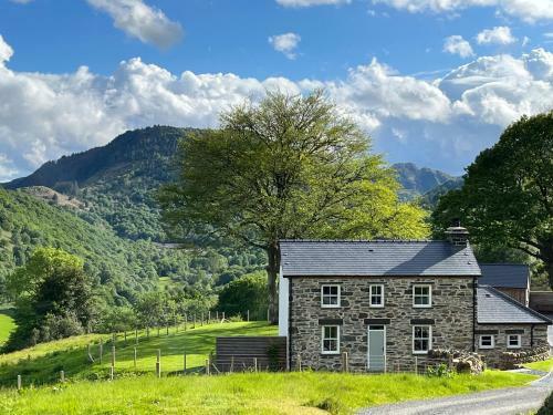 Gelli Newydd