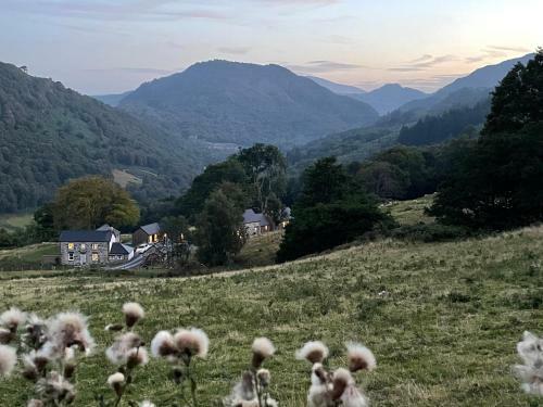 Gelli Newydd