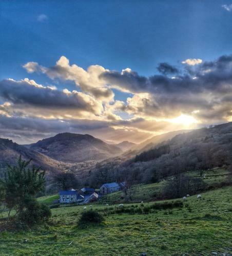 Gelli Newydd