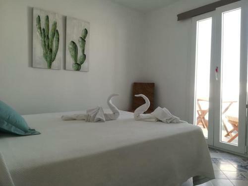 Apartamento Ave Maria 9
