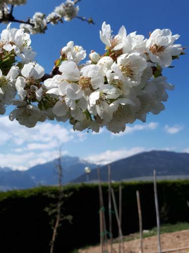 Bed & Breakfast I Girasoli
