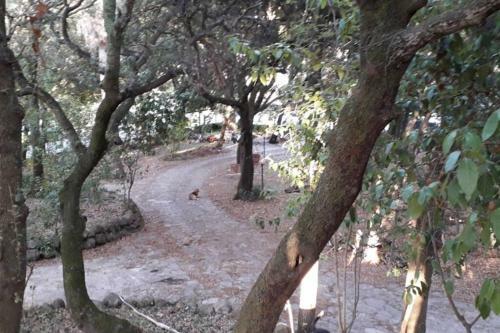 Apartamento Villa Biagi Quadrilocale La Conchiglia