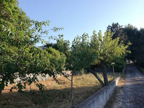 Ciao B&B