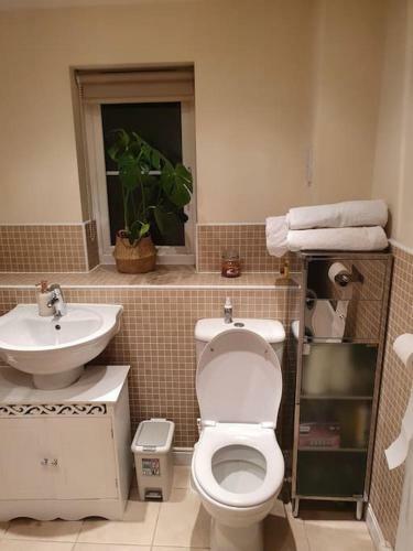 Beautiful Ensuite Room