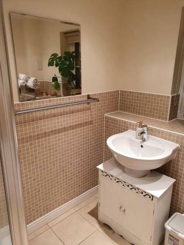 Beautiful Ensuite Room