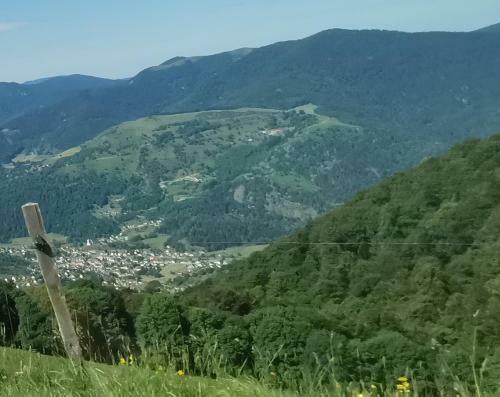 La Lavandi�re 4 � 6 Personnes