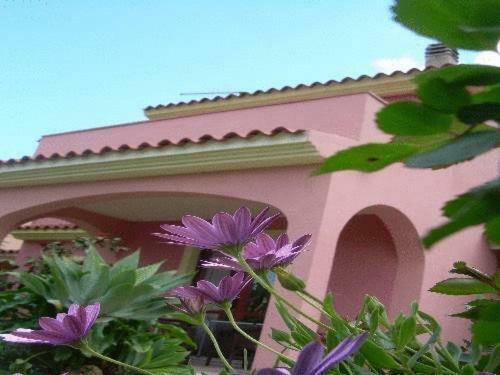 Ariedo Bed And Breakfast