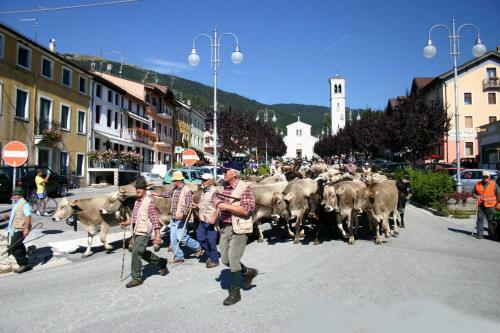 Hotel Alpi - Foza