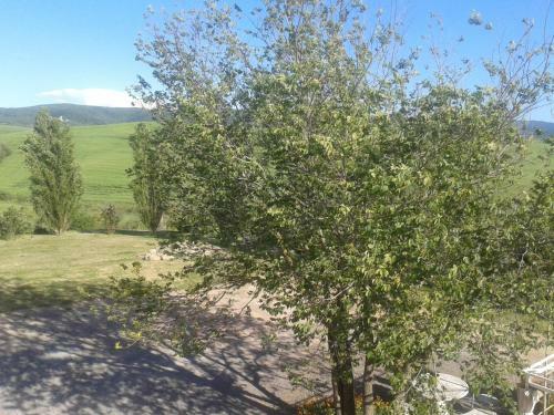 Agroturismo I Greppioli