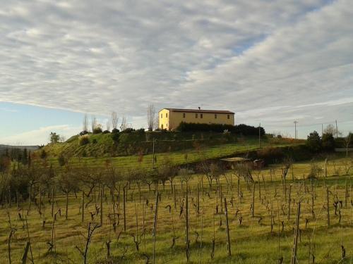 Agroturismo I Greppioli