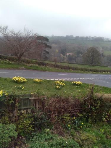 Bed & Breakfast Beechlands B & B