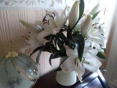 Bed & Breakfast Beechlands B & B