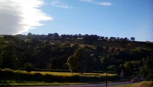Bed & Breakfast Beechlands B & B