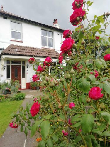 Bed & Breakfast Beechlands B & B