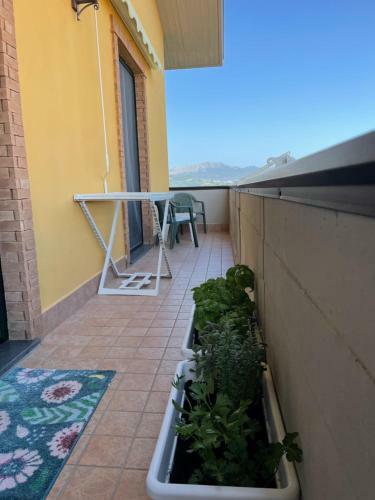 Apartamento Prime Home