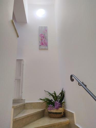 Hostal Alba Chiara