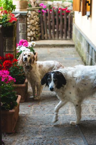 Casale Ianus - Country House With Panoramic View - Pet Friendly