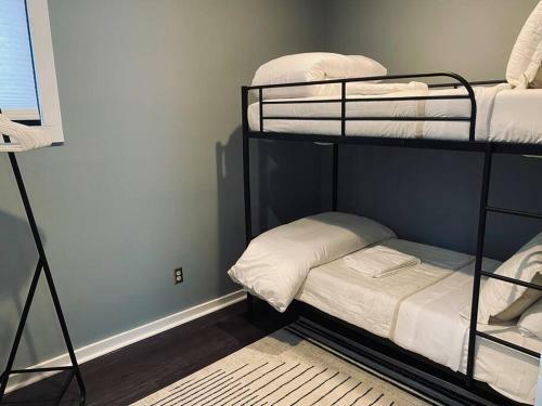 Beautifully Updated 5br Residence Near Uofr/museums/downtown