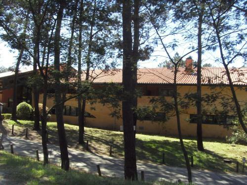 Lacanau Oc�an