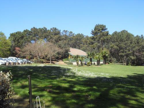 Lacanau Oc�an