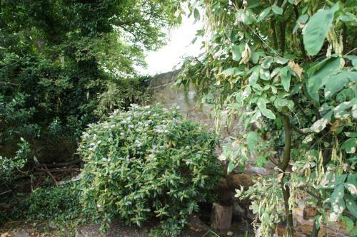 Apartamento Altido Gorgeous 3-bed Flat Near Castle Sands