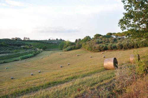 Agroturismo Agriturismo Podere Sertofano