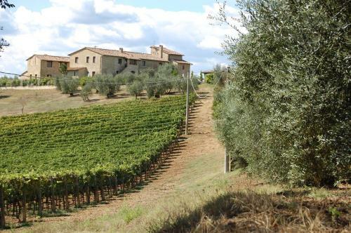 Agroturismo Agriturismo Podere Sertofano