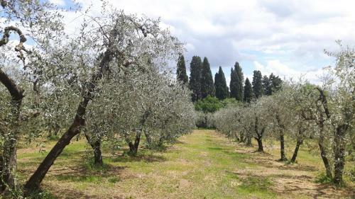 Agroturismo Agriturismo Podere Sertofano