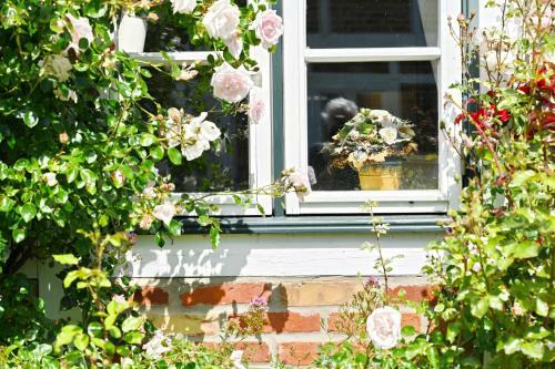 Apartamento Landhaus Vilmnitz - Wohnung 7